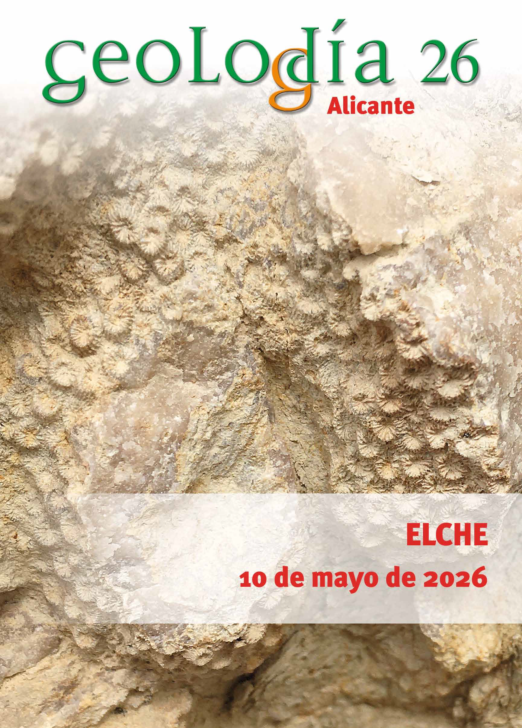 Portada de GD26 ELCHE