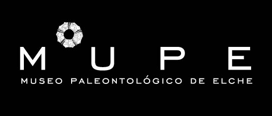 Mupe