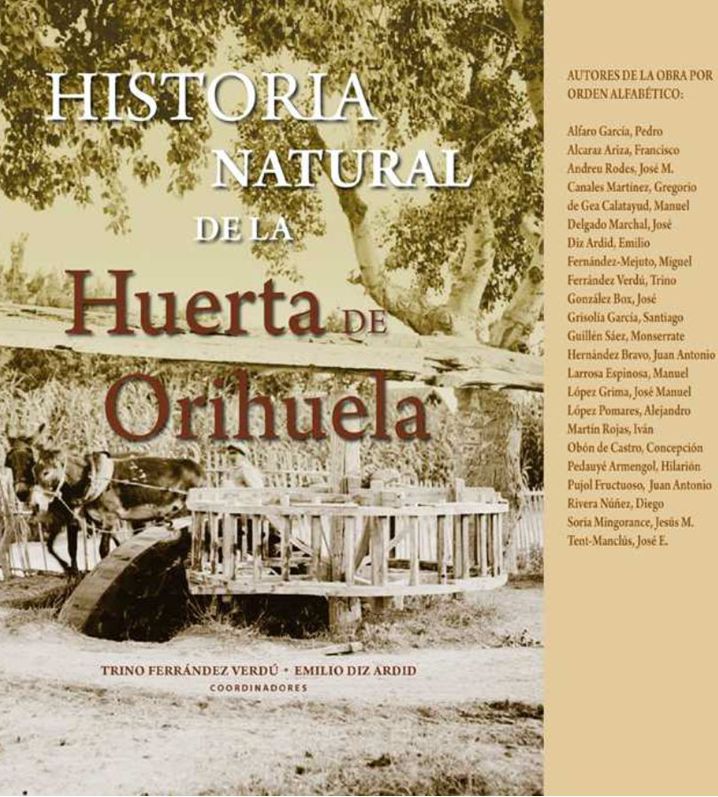 Portada de ORIHUELA Y EL BAJO SEGURA capítulo libro